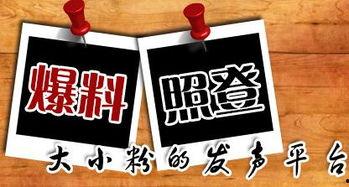 重庆新闻爆料有奖,市民积极参与共享线索  第2张